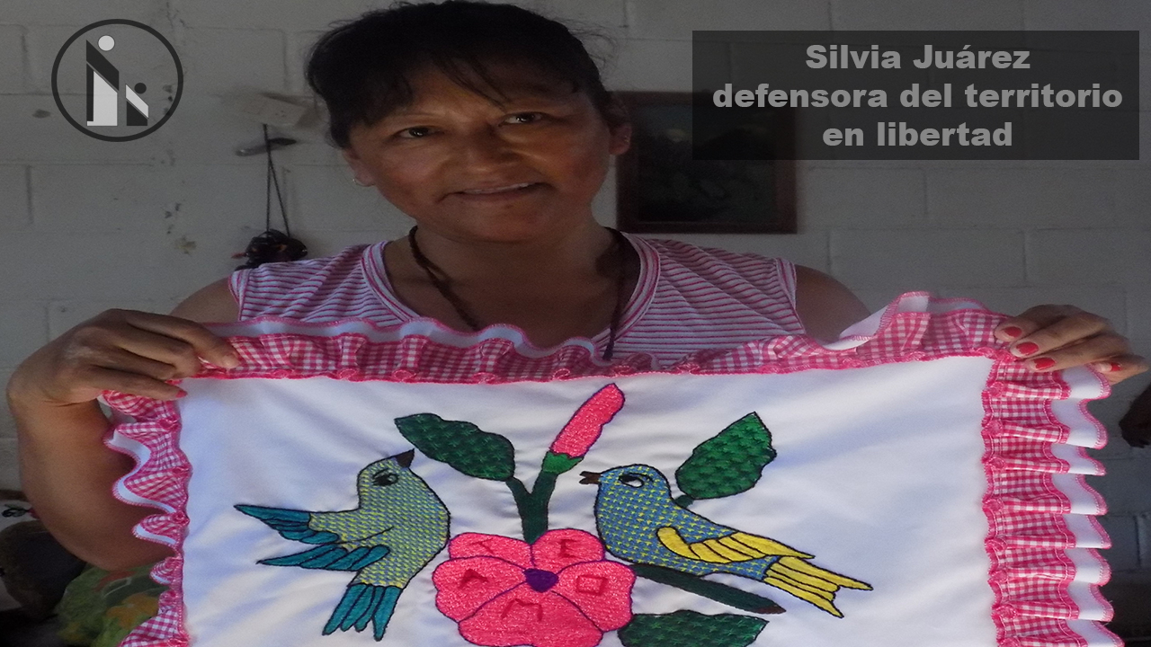 boletino6silvia.jpg