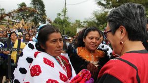 visitarelatora-300x169.jpg