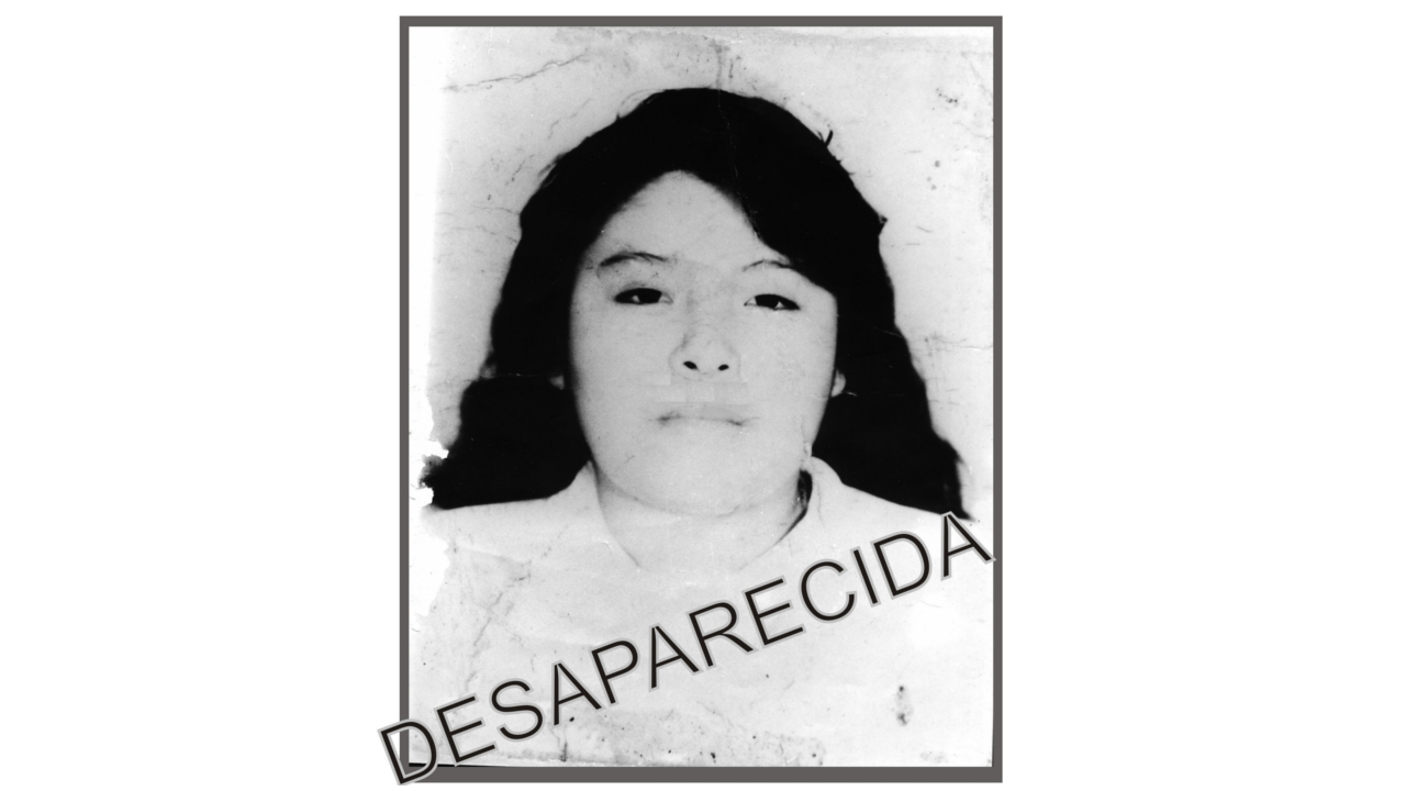 minerva_guadalupe_17_anios.jpg