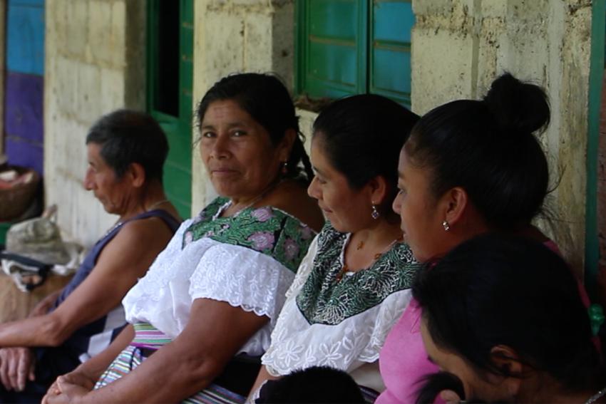 Pueblos Indígenas