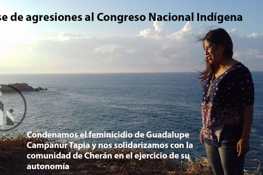 ceseagresionesCNIweb.jpg