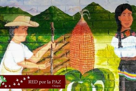 190620_chilon_red_paz-1024x576.jpg